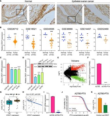 The miR-33a-5p/CROT axis mediates ovarian cancer cell behaviors and chemoresistance via the regulation of the TGF-β signal pathway